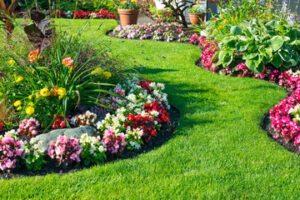 Landscaping Services