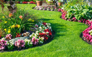 Landscaping Services