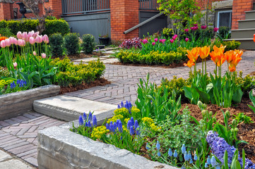 Landscape Contractors – Transform Your Backyard Into a Garden of Your Dreams